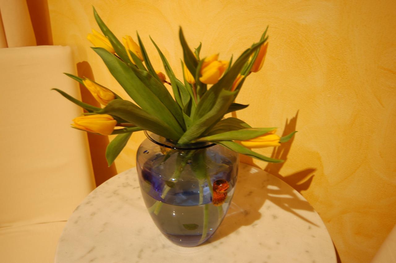 Anfiteatro B&B Verona Exterior foto